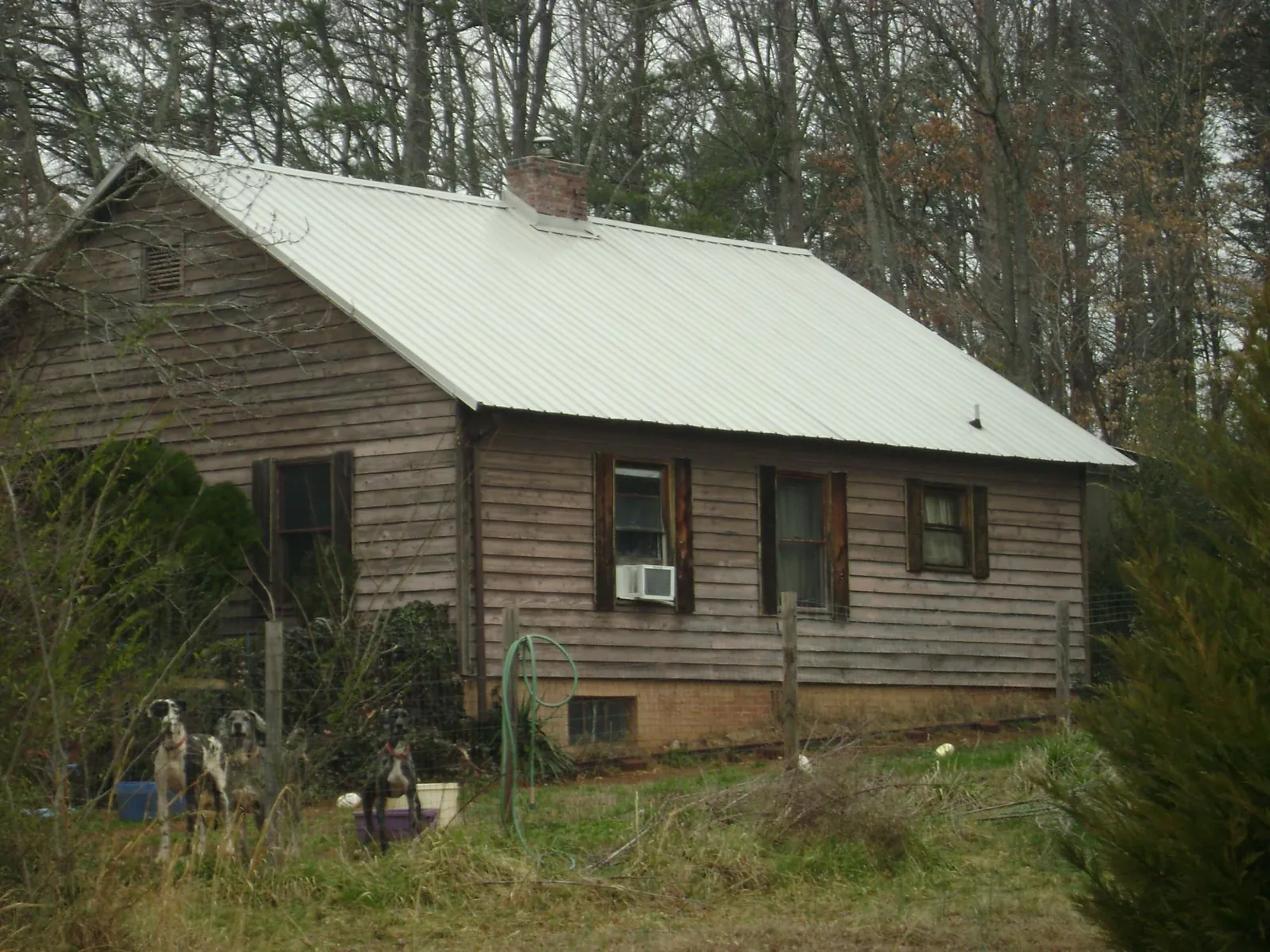 White metal roof on an old wood sided farmhouse, from a Asphalt Shingle Roof Repair job in Stacyville